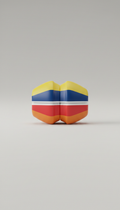Limited Edition Shock Absorber